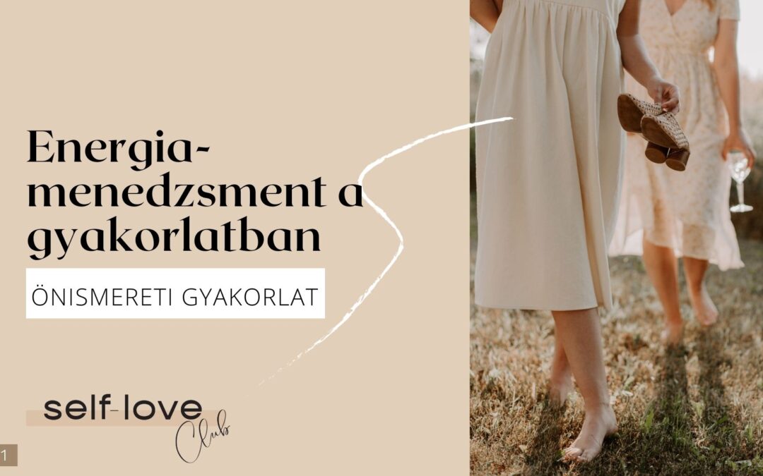 Energiamenedzsment a gyakorlatban