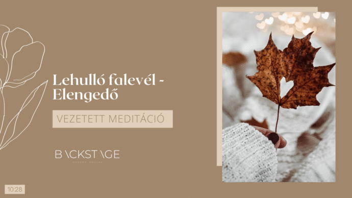 lehulló falevél - elengedő meditáció